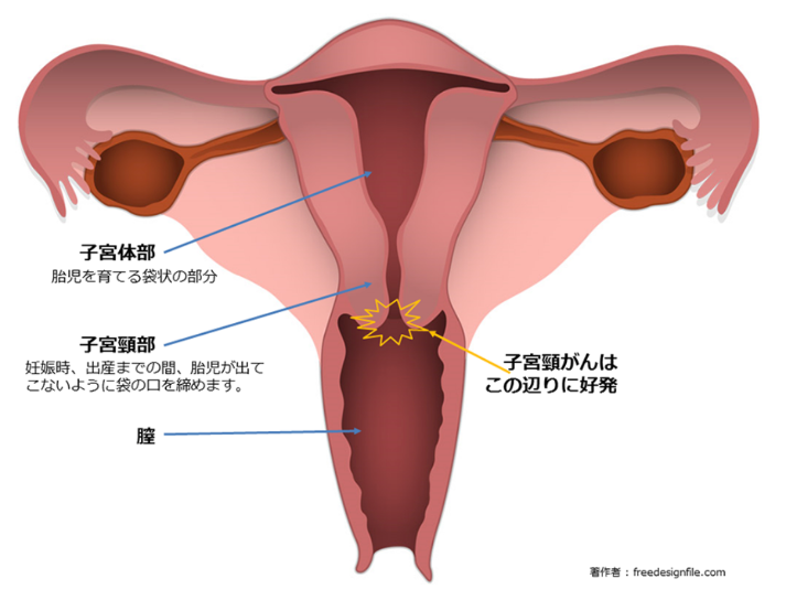 性病検査キットならメディカルコア | 安心価格の郵送検査